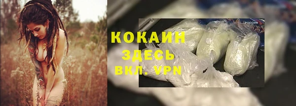 СК Аркадак