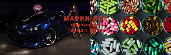 СК Аркадак